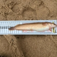 Ian Golds Match Measures